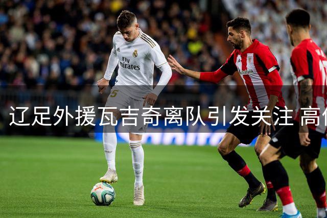 辽足外援瓦吉奇离队引发关注 高价引援意外告终