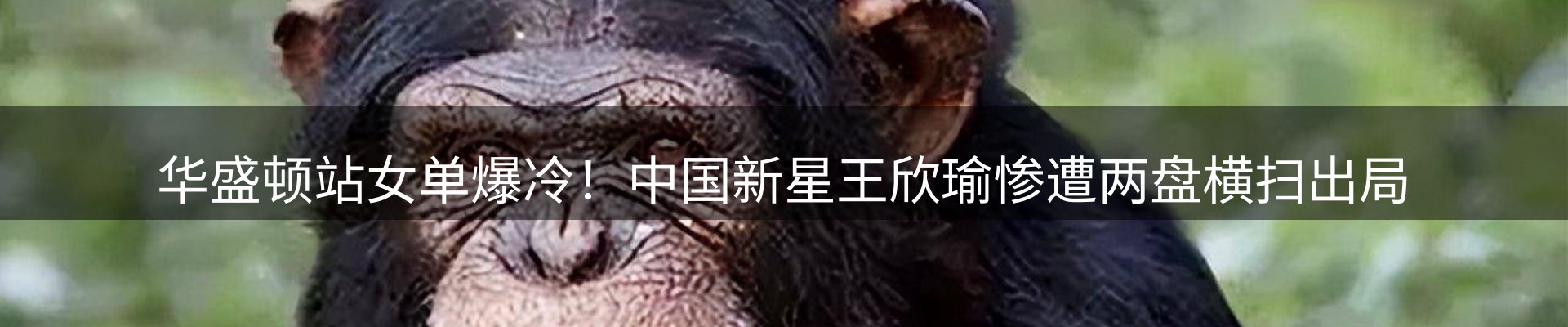 赛事资讯