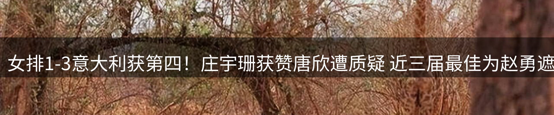 赛事资讯