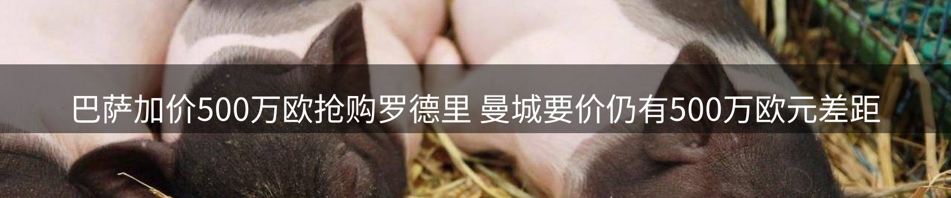 新闻荟萃
