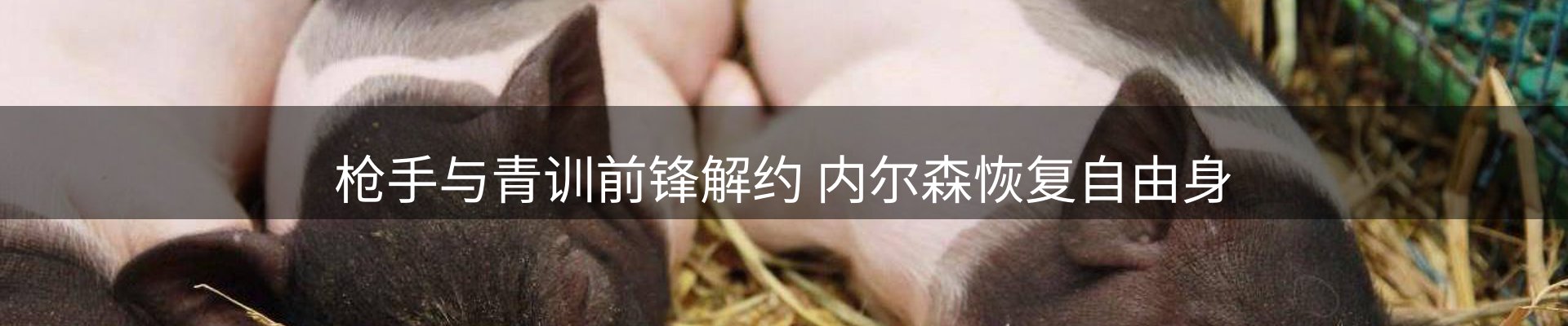 新闻荟萃
