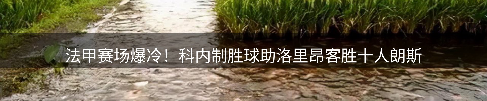 新闻荟萃