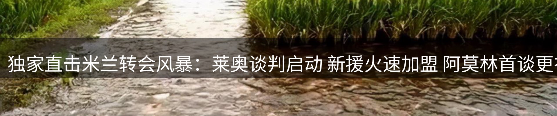 赛事资讯