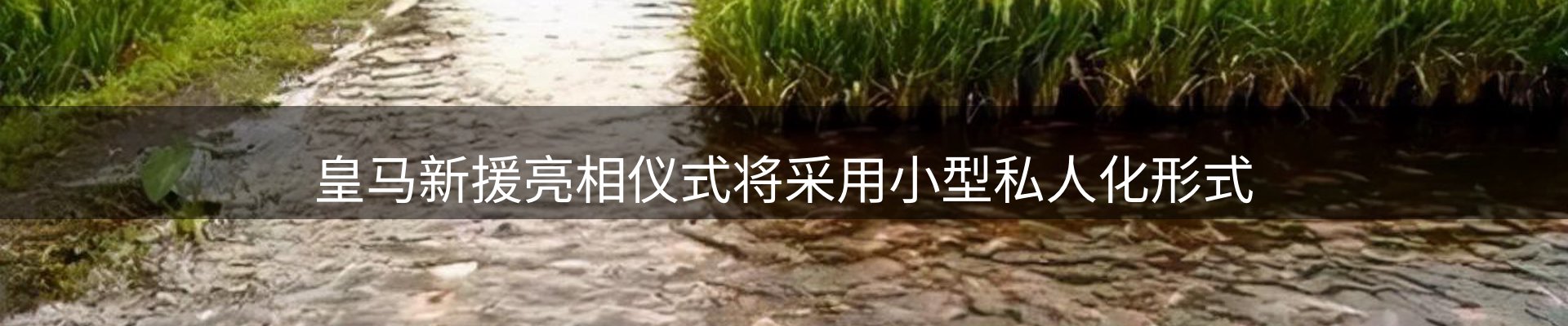 新闻荟萃