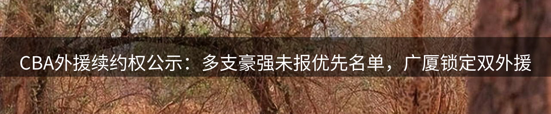赛事资讯